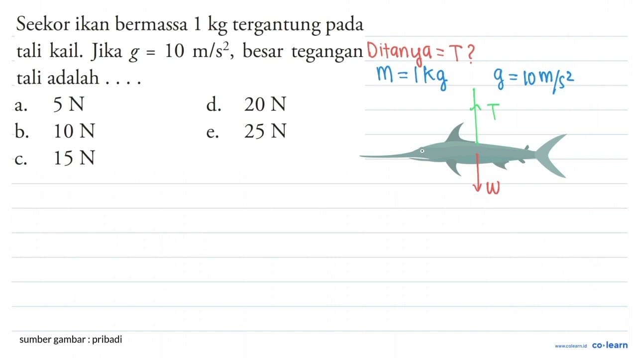 Seekor ikan bermassa 1 kg tergantung pada tali kail. Jika