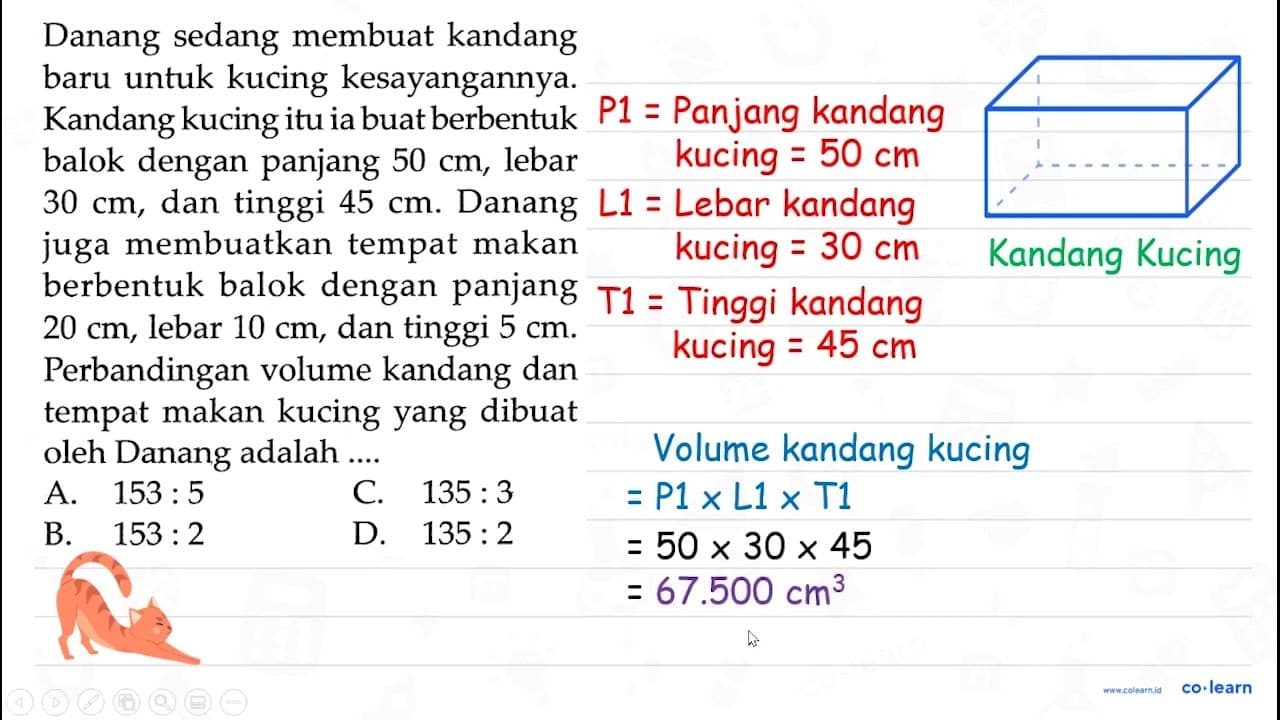 Danang sedang membuat kandang baru untuk kucing