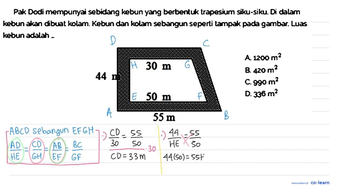 Pak Dodi mempumyai sebidang kebun yang berbentuk trapesium