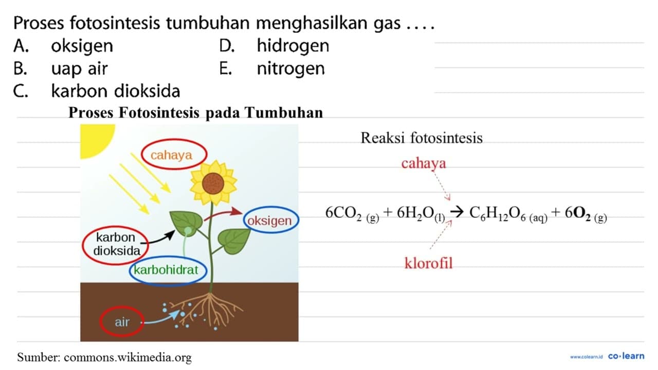 Proses fotosintesis tumbuhan menghasilkan gas .... A.