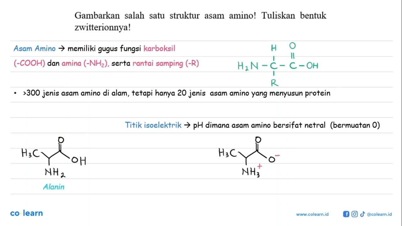 Gambarkan salah satu struktur asam amino! Tuliskan bentuk