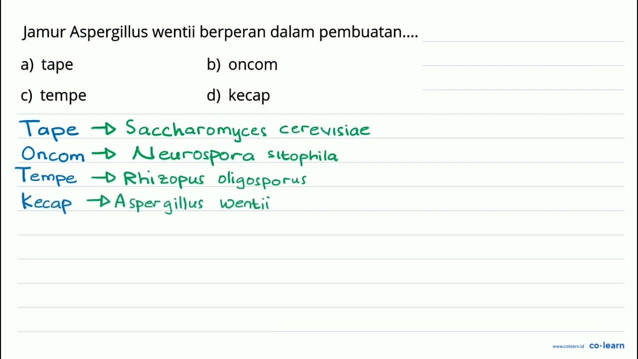 Jamur Aspergillus wentii berperan dalam pembuatan....