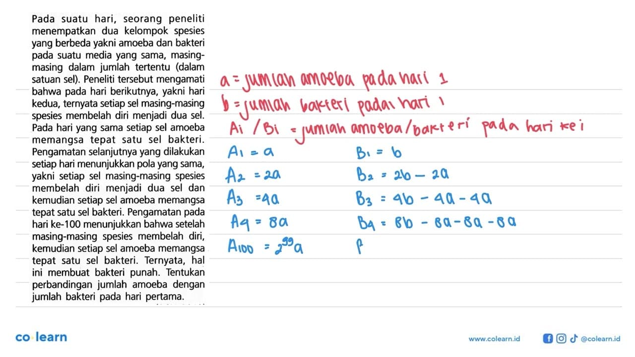 Pada suatu hari, seorang peneliti menempatkan dua kelompok