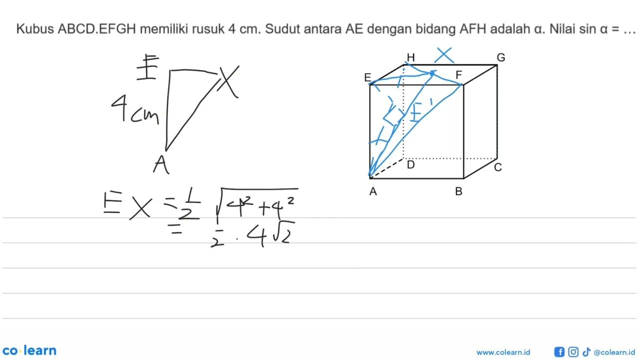 Kubus ABCD.EFGH memiliki rusuk 4 cm. Sudut antara AE dengan