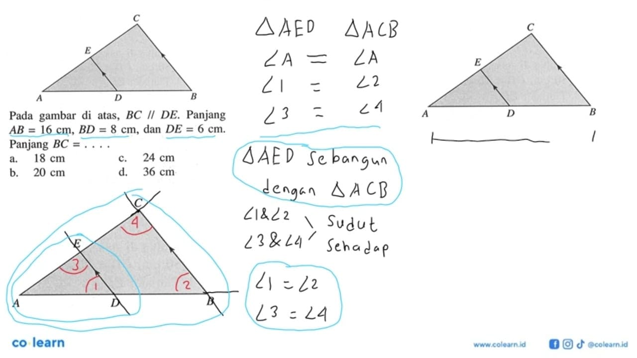 Pada gambar di atas, BC//DE. Panjang AB=16 cm, BD=8 cm, dan