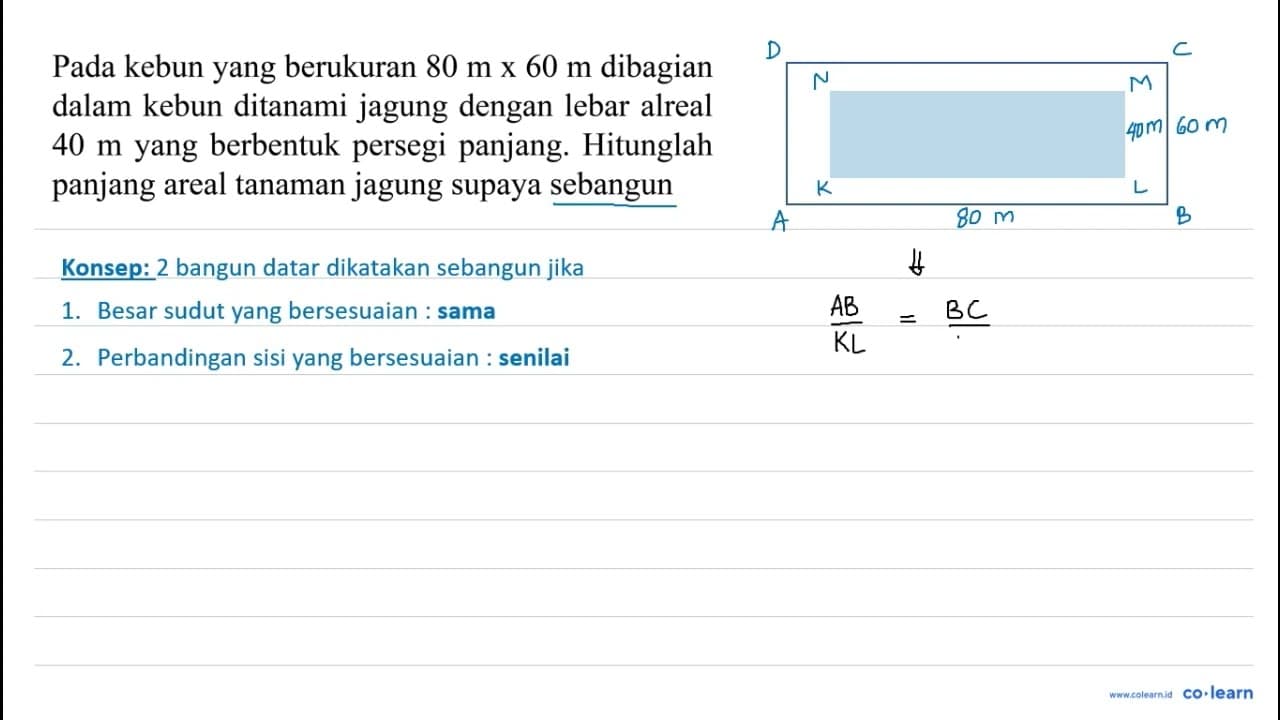 Pada kebun yang berukuran 80 m x 60 m dibagian dalam kebun