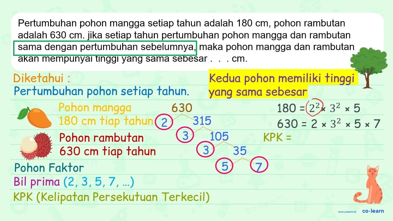 Pertumbuhan pohon mangga setiap tahun adalah 180 cm, pohon