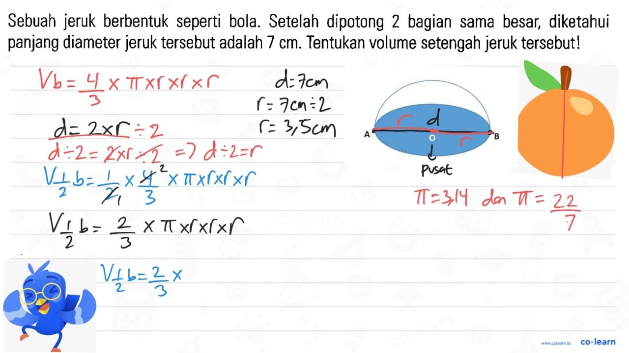 Sebuah jeruk berbentuk seperti bola. Setelah dipotong 2