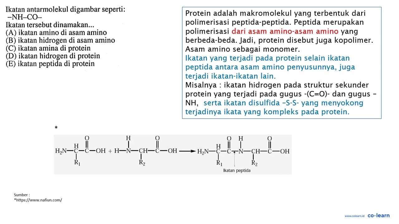 Ikatan antarmolekul digambar seperti: -NH-CO- Ikatan