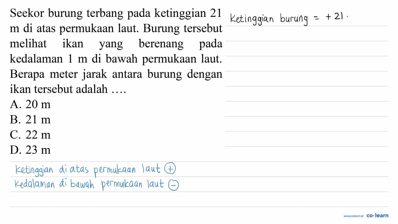 Seekor burung terbang pada ketinggian 21 m di atas