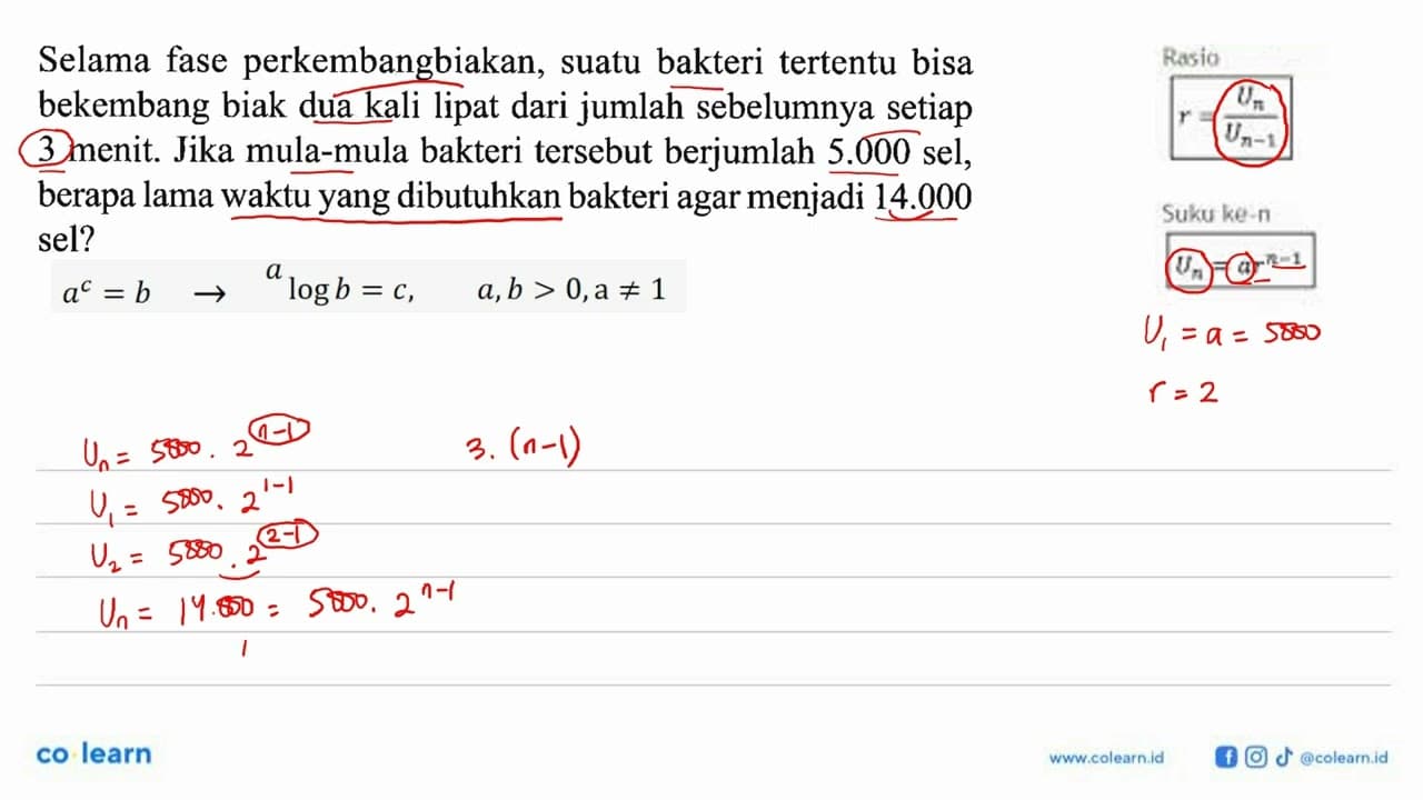 Selama fase perkembangbiakan; suatu bakteri tertentu bisa