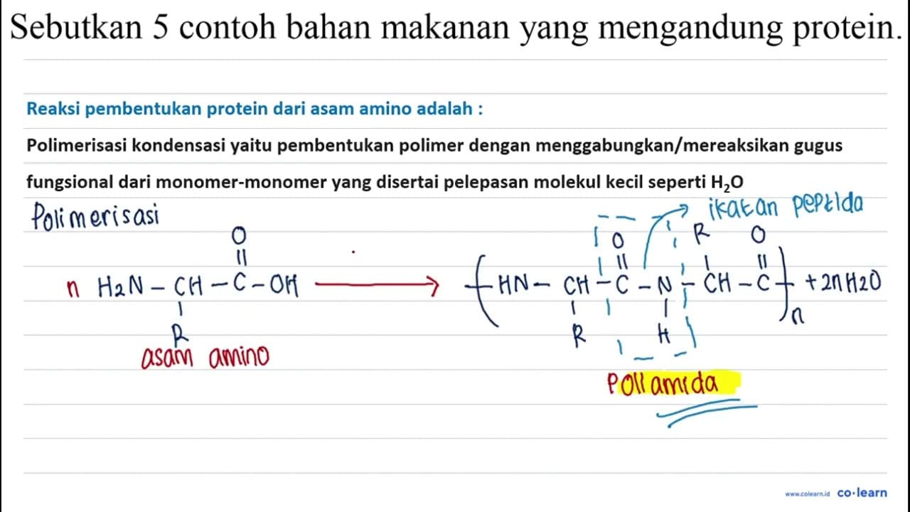 Sebutkan 5 contoh bahan makanan yang mengandung protein.