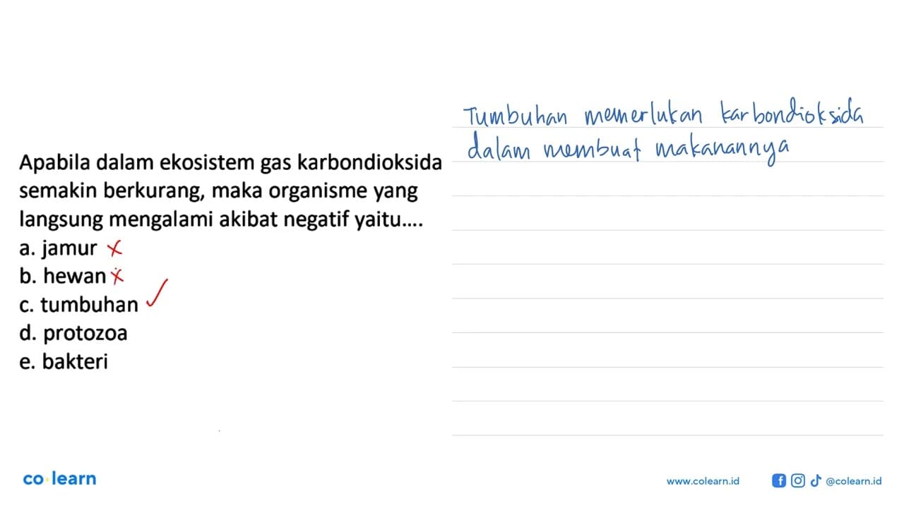 Apabila dalam ekosistem gas karbondioksida semakin