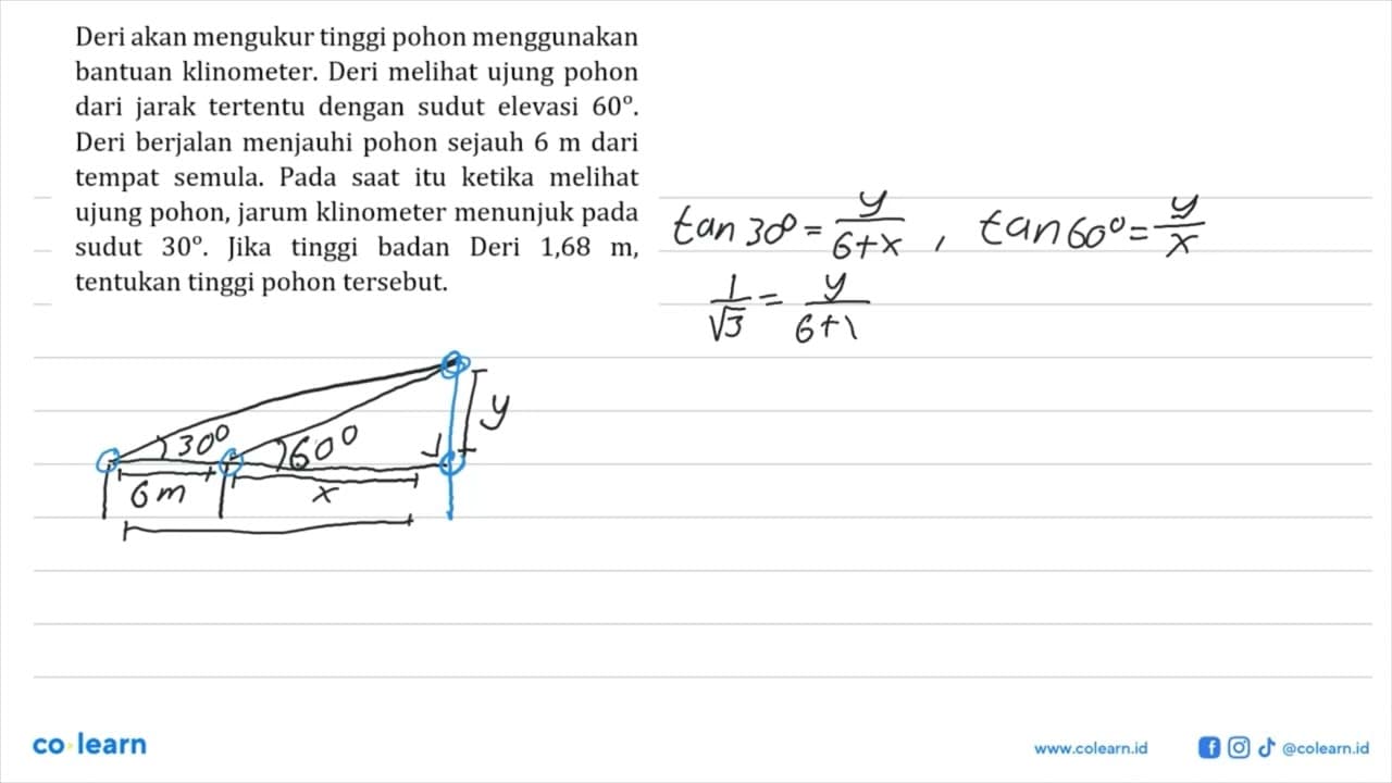 Deri akan mengukur tinggi pohon menggunakan bantuan