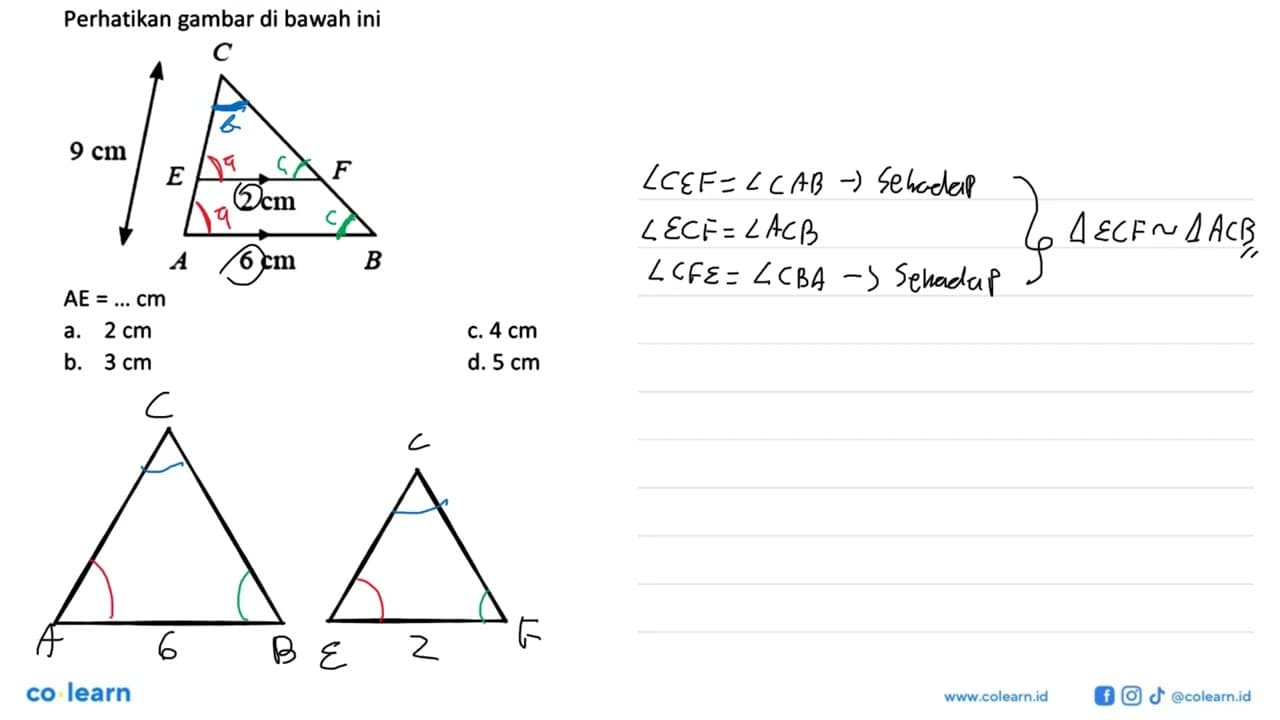 Perhatikan gambar di bawah ini C 9 cm E F 2 cm 6 cm A B AE