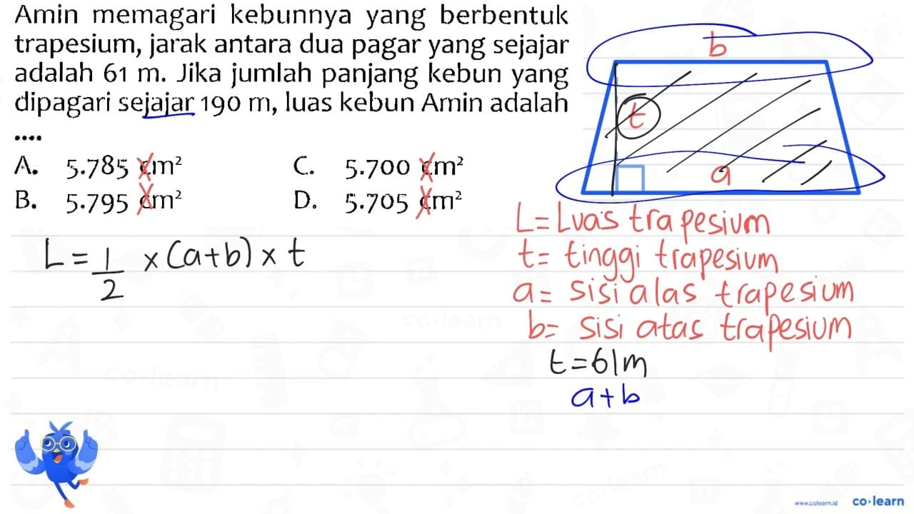 Amin memagari kebunnya yang berbentuk trapesium, jarak