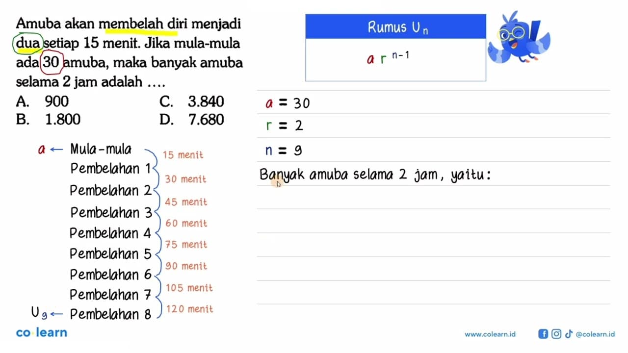 Amuba akan membelah diri menjadi dua setiap 15 menit. Jika