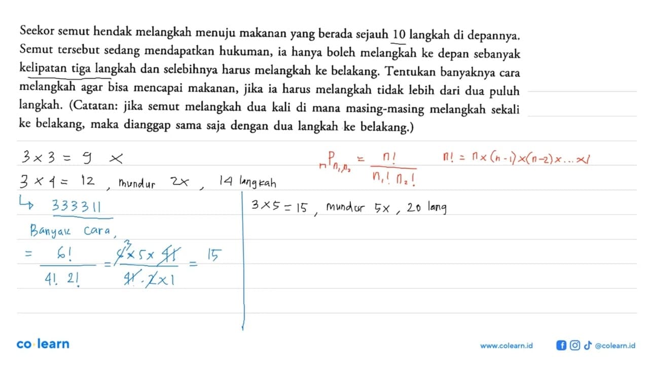 Seekor semut hendak melangkah menuju makanan yang berada