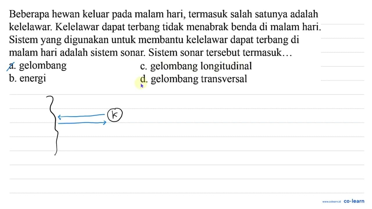 Beberapa hewan keluar pada malam hari, termasuk salah