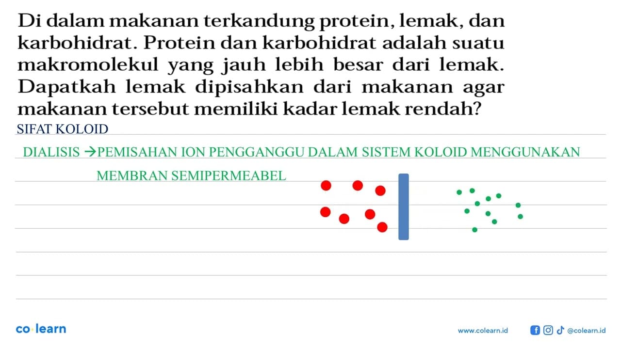 Di dalam makanan terkandung protein, lemak, dan