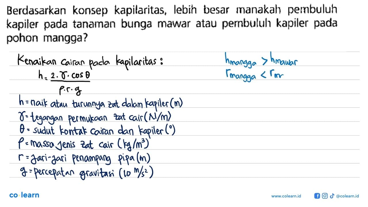 Berdasarkan konsep kapilaritas, lebih besar manakah