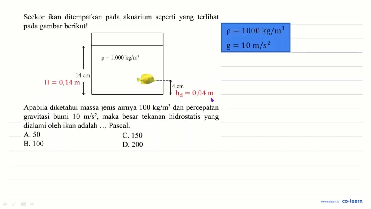 Seekor ikan ditempatkan pada akuarium seperti yang terlihat