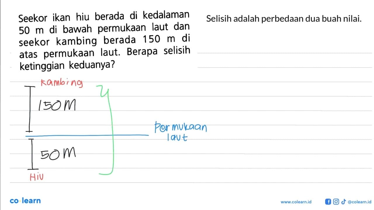 Seekor ikan hiu berada di kedalaman 50 m di bawah permukaan