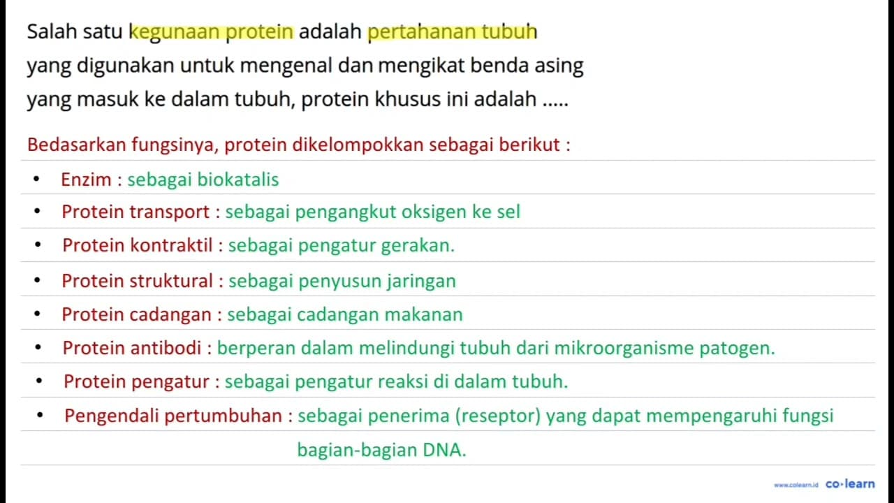 Salah satu kegunaan protein adalah pertahanan tubuh yang