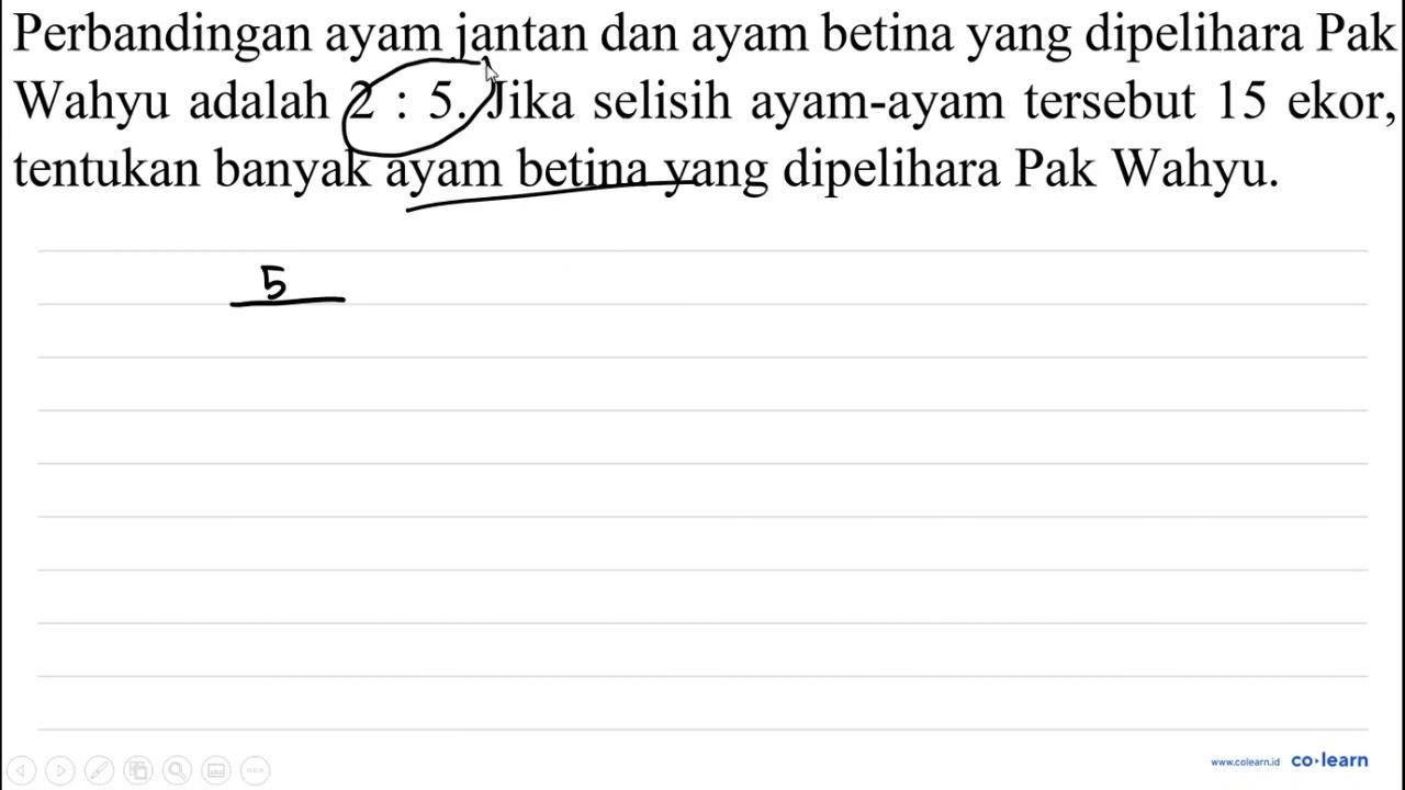 Perbandingan ayam jantan dan ayam betina yang dipelihara