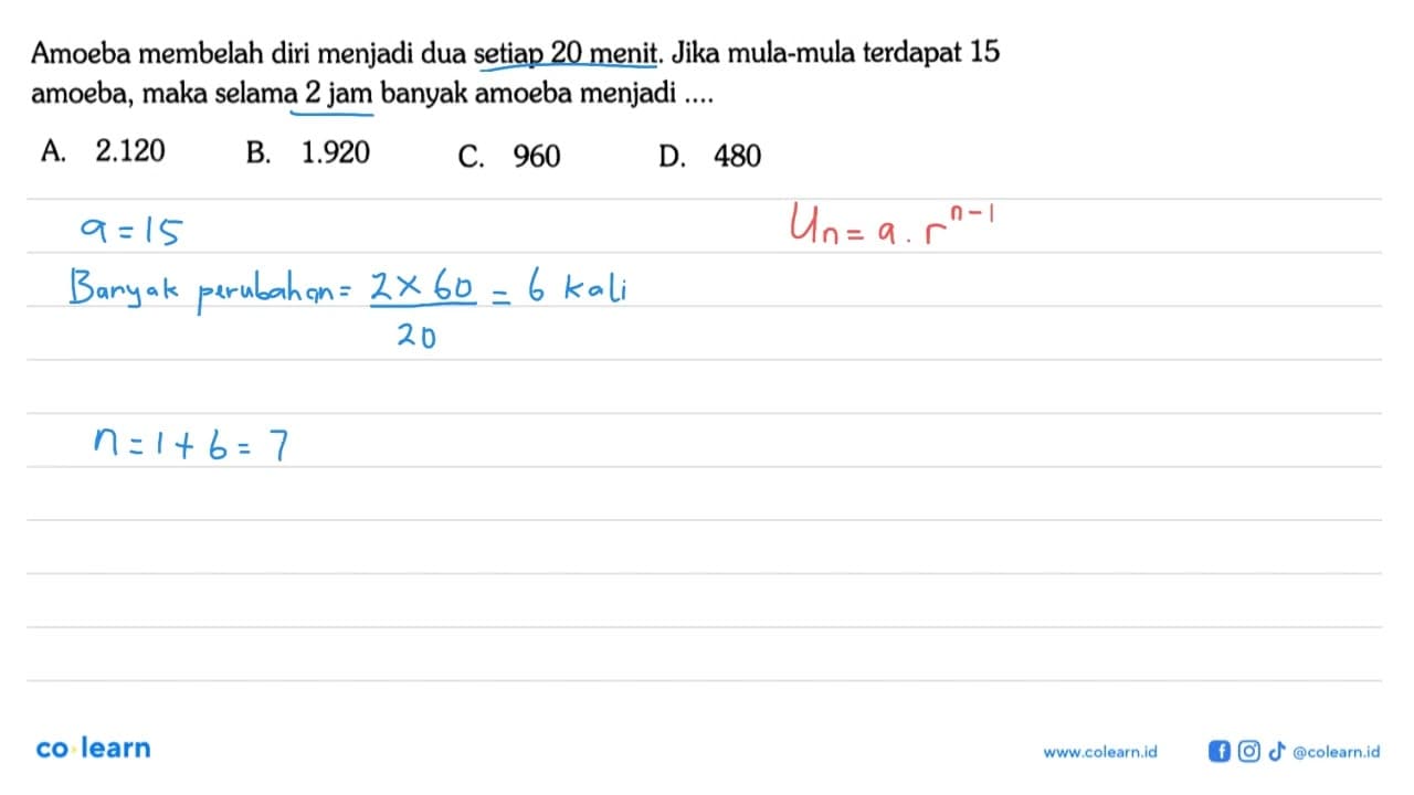 Amoeba membelah diri menjadi dua setiap 20 menit. Jika