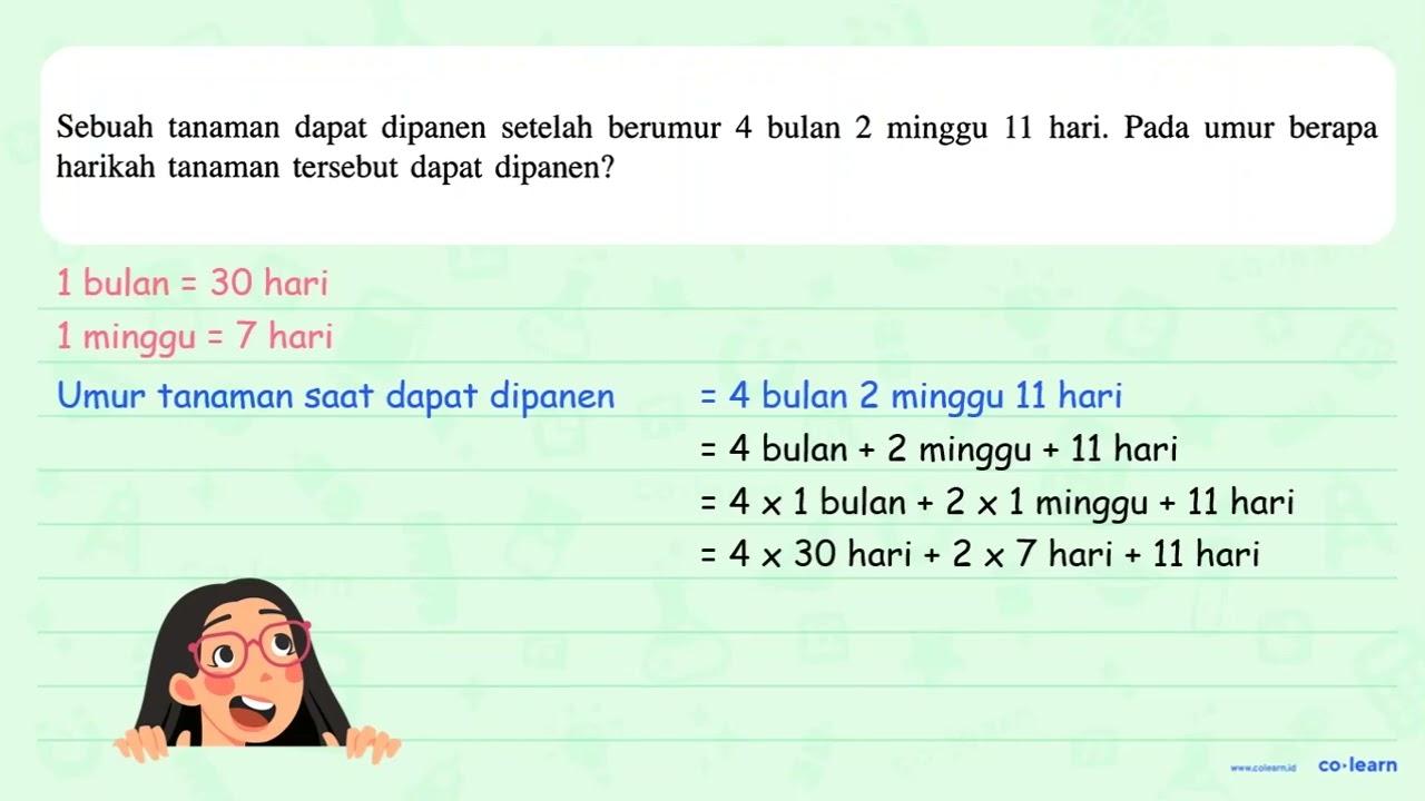 Sebuah tanaman dapat dipanen setelah berumur 4 bulan 2