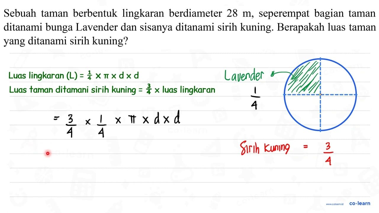 Sebuah taman berbentuk lingkaran berdiameter 28 m ,