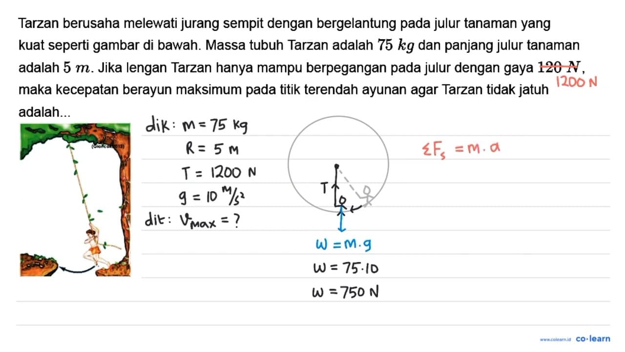 Tarzan berusaha melewati jurang sempit dengan bergelantung