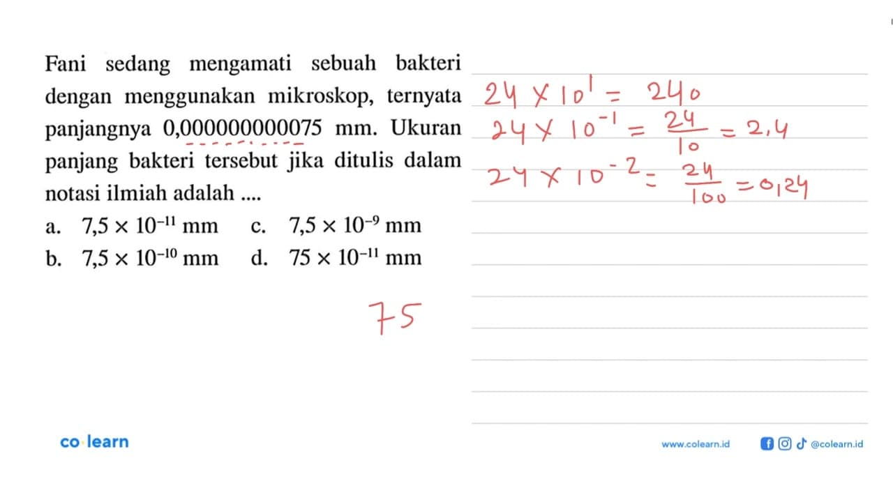 Fani sedang mengamati sebuah bakteri dengan menggunakan