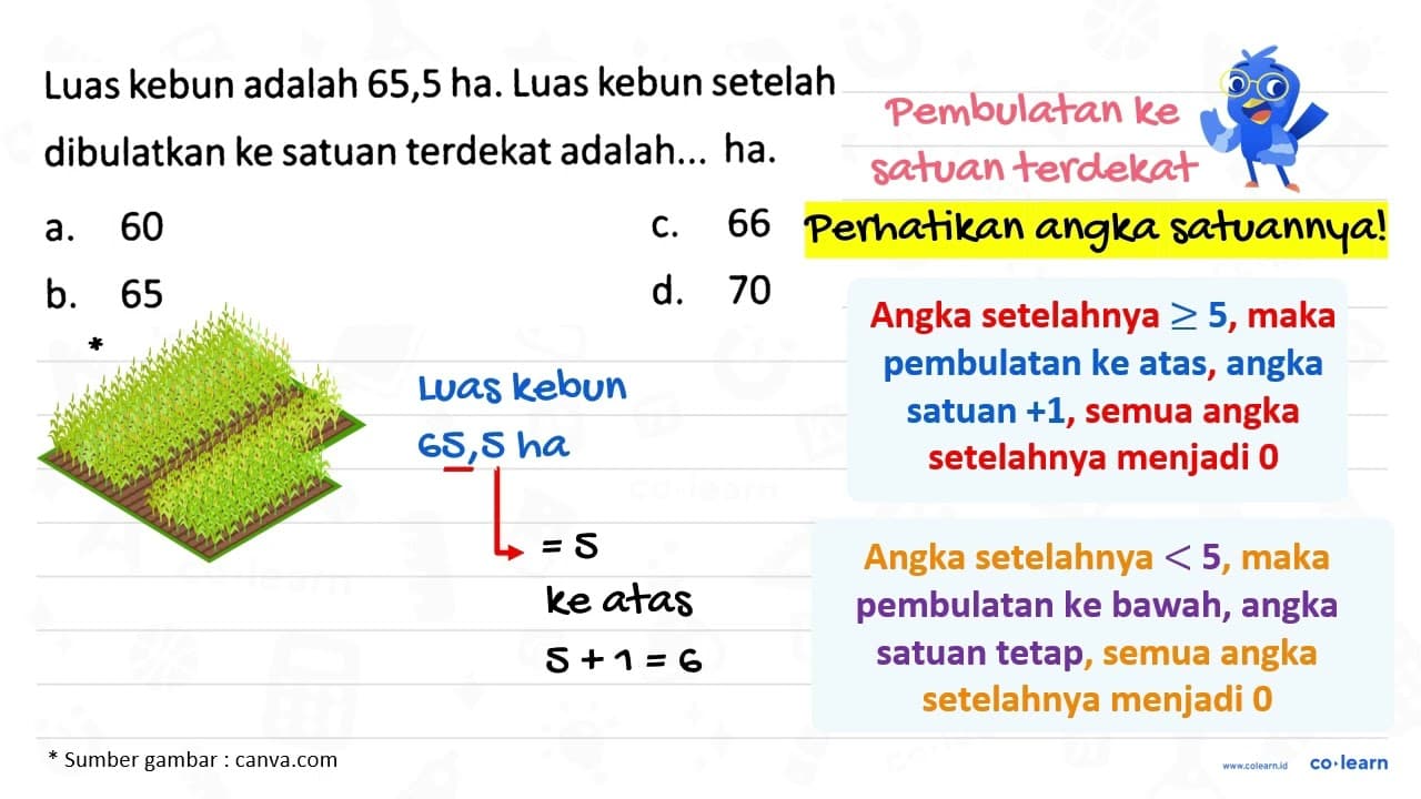 Luas kebun adalah 65,5 ha. Luas kebun setelah dibulatkan ke