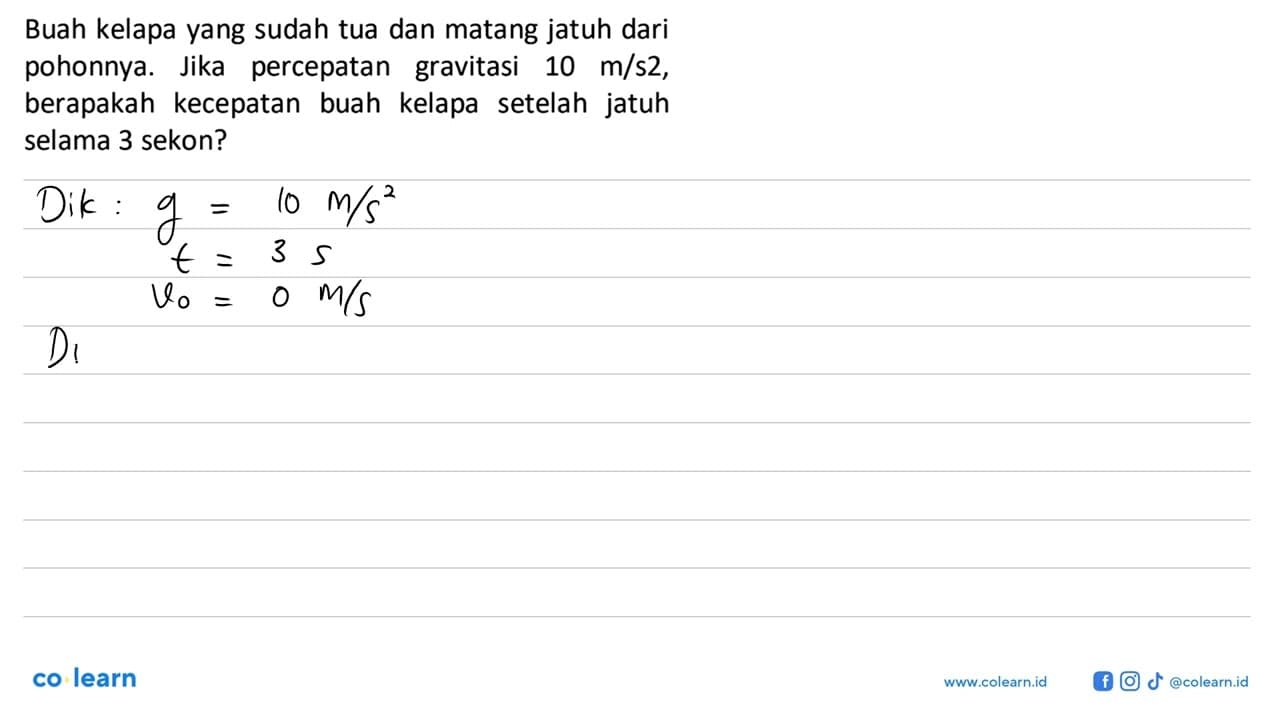 Buah kelapa yang sudah tua dan matang jatuh dari pohonnya.