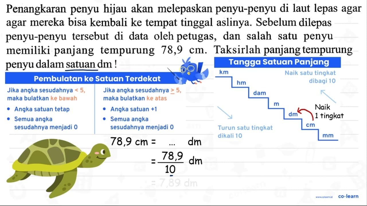 Penangkaran penyu hijau akan melepaskan penyu-penyu di laut