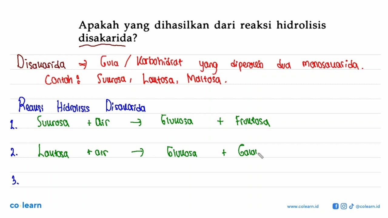 Apakah yang dihasilkan dari reaksi hidrolisis disakarida?