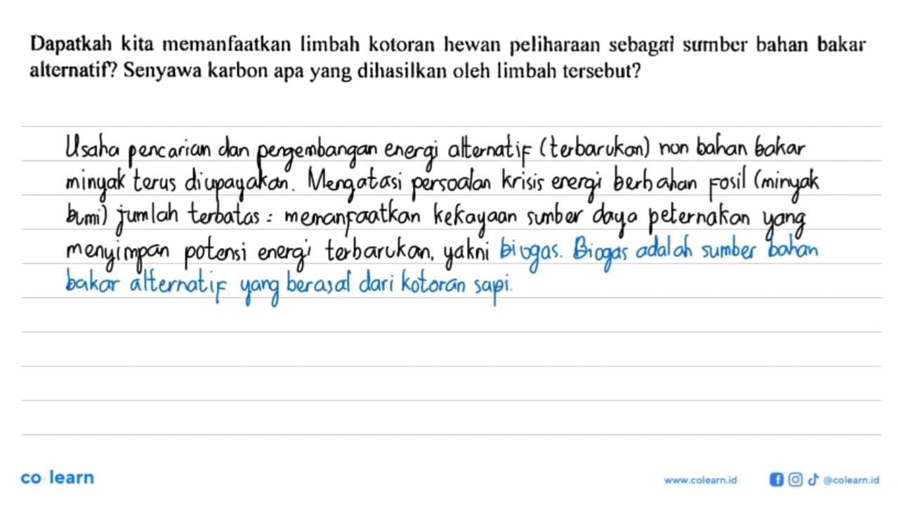 Dapatkah kita memanfaatkan limbah kotoran hewan peliharaan