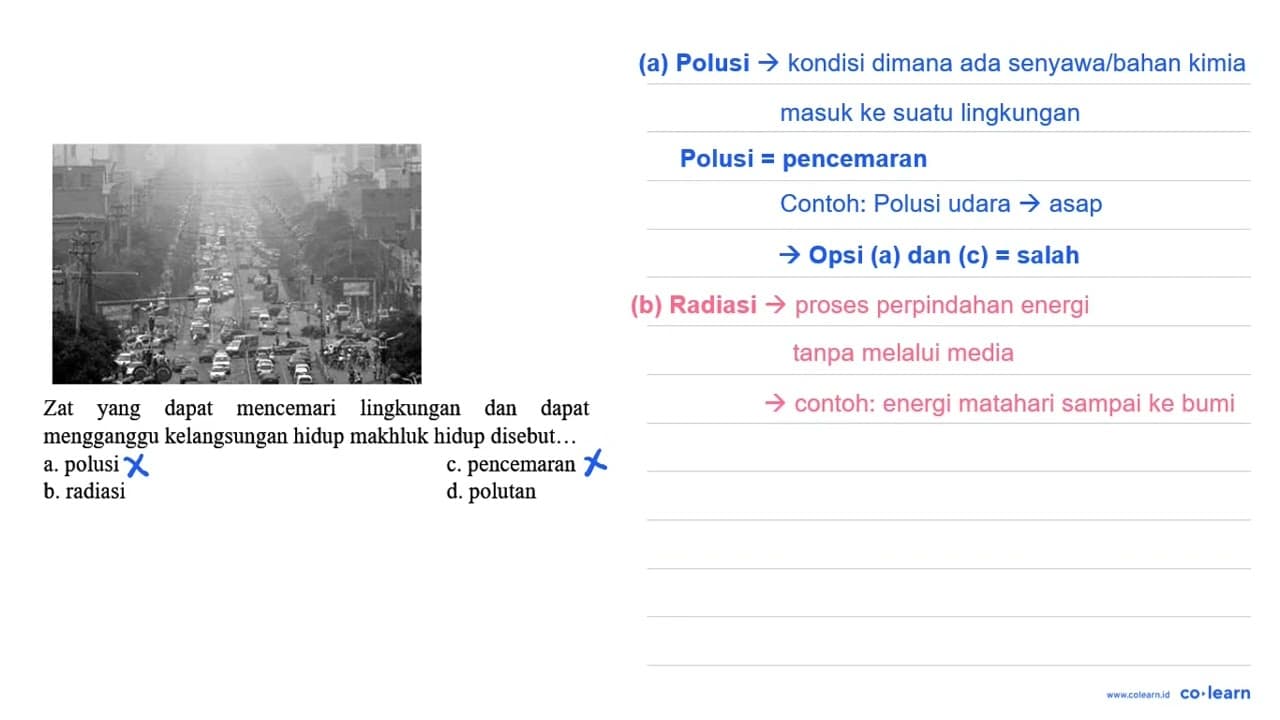 Zat yang dapat mencemari lingkungan dan dapat mengganggu