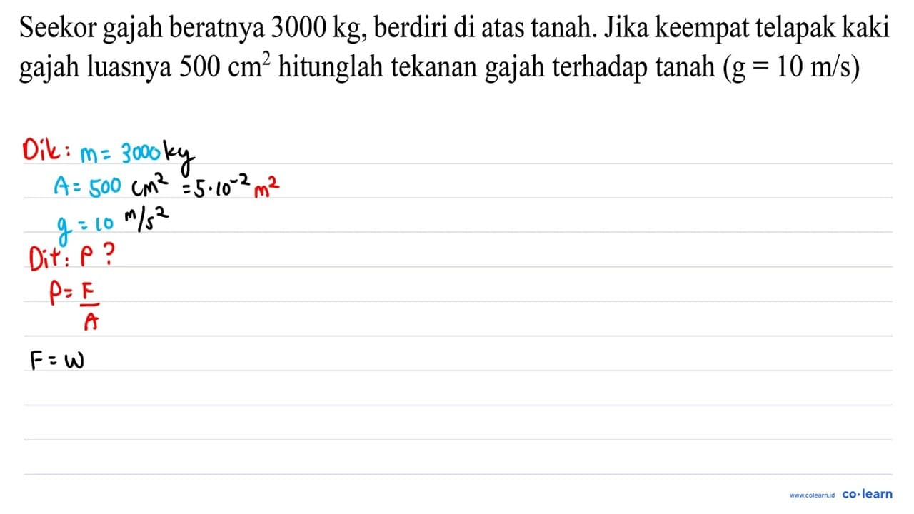 Seekor gajah beratnya 3000 kg , berdiri di atas tanah. Jika