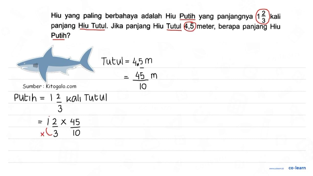 Hiu yang paling berbahaya adalah Hiu Putih yang panjangnya