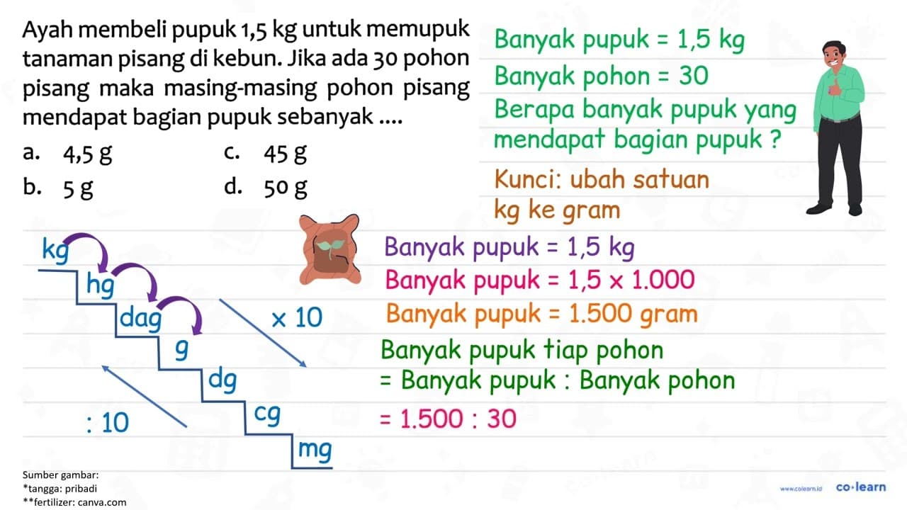 Ayah membeli pupuk 1,5 kg untuk memupuk tanaman pisang di