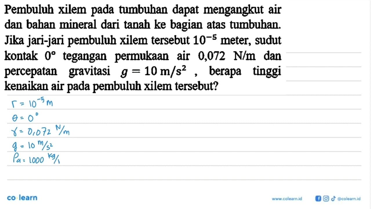 Pembuluh xilem pada tumbuhan dapat mengangkut air dan bahan