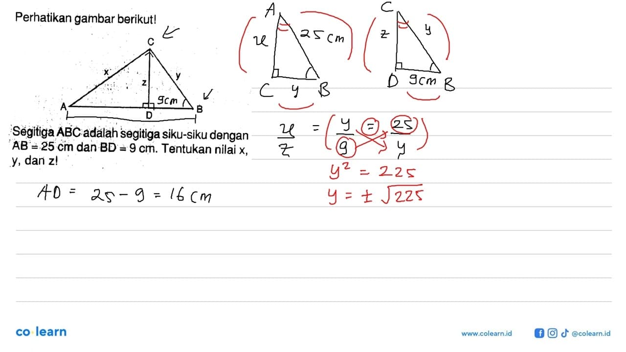 Perhatikan gambar berikut! C x z y A D B Segitiga ABC