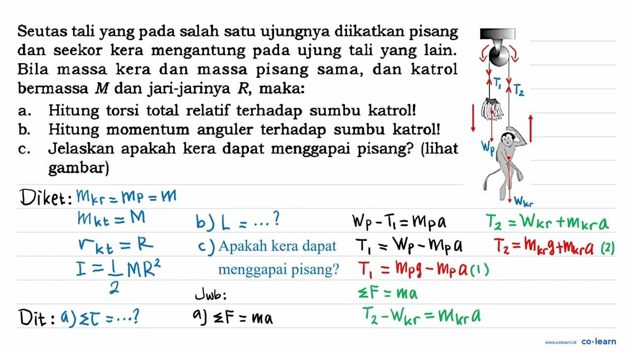 Seutas tali yang pada salah satu ujungnya diikatkan pisang