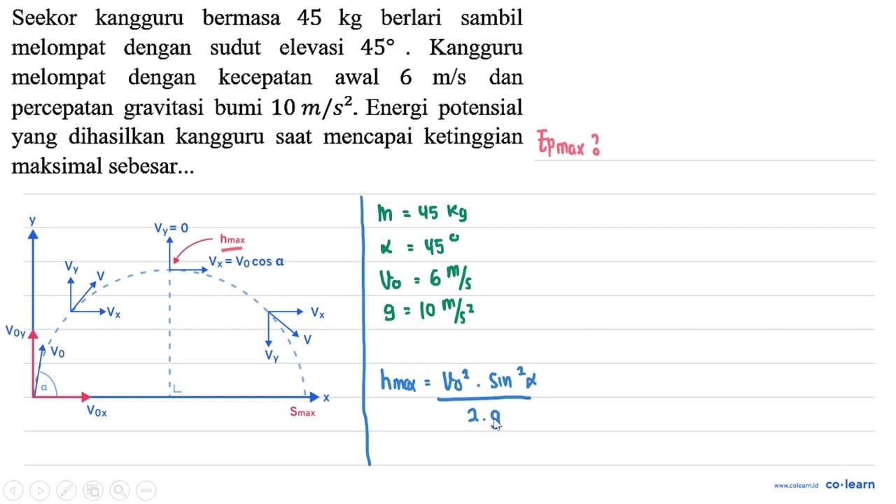 Seekor kangguru bermasa 45 kg berlari sambil melompat