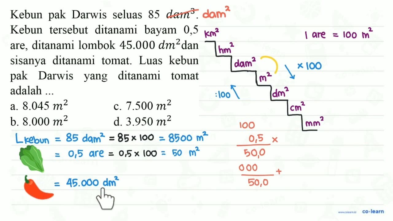 Kebun pak Darwis seluas 85 dam^3. Kebun tersebut ditanami