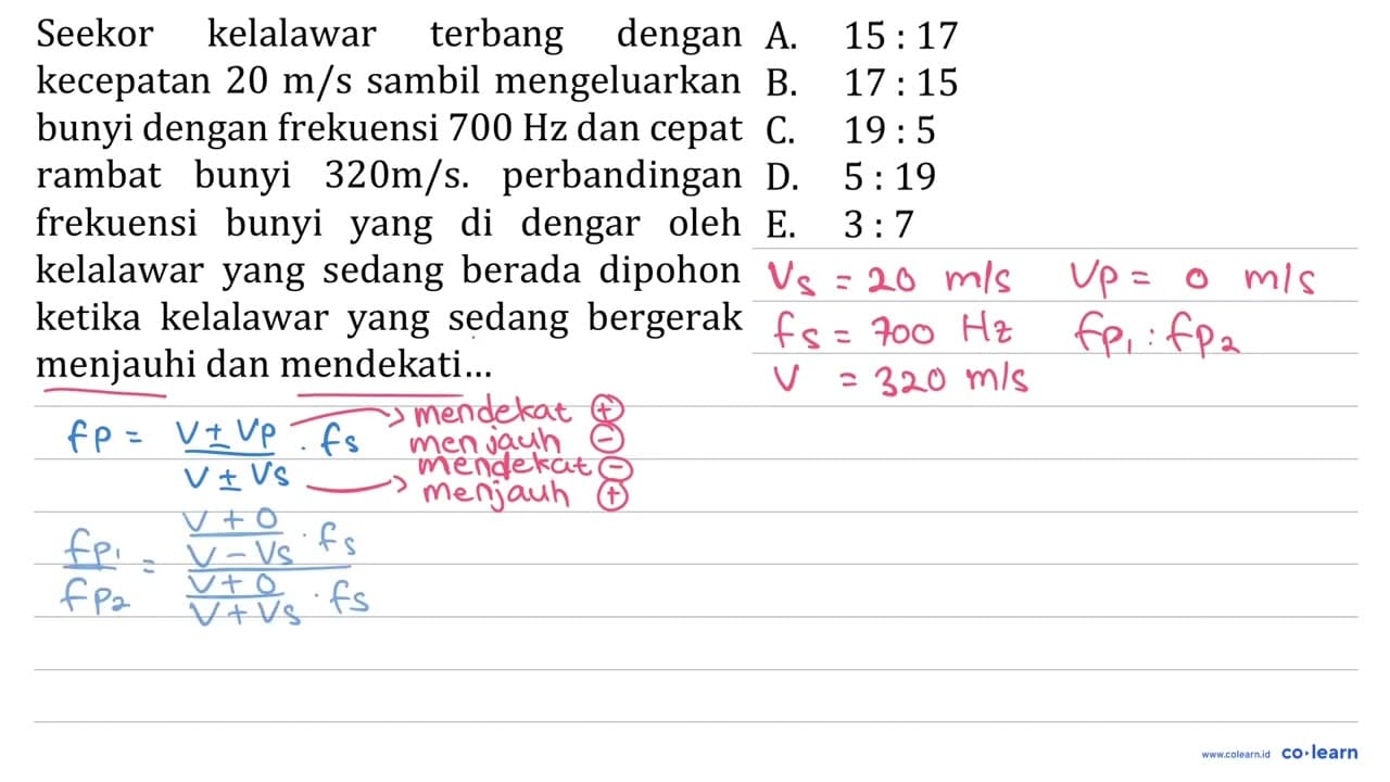 Seekor kelalawar terbang dengan kecepatan 20 m / s sambil