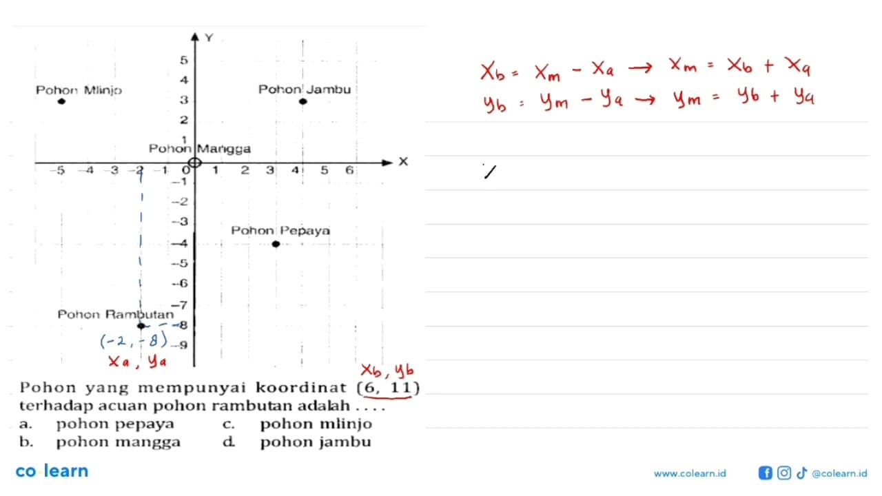 Pohon Mlinjo Pohon Jambu Pohon Mangga Pohon Pepaya Pohon